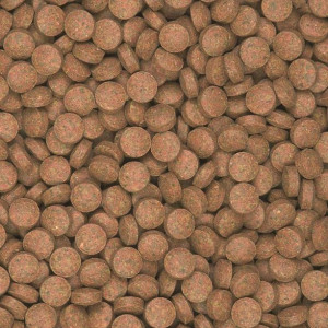 Pokarm Tropical Supervit Tablets B 100g tabletki