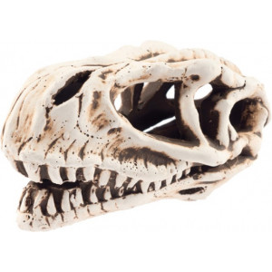 Ozdoba ceramiczna czaszka dinozaura Aqua Nova N-28065, biała