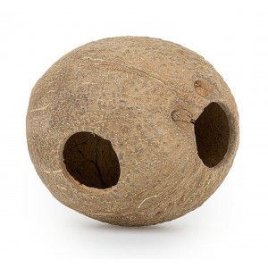 Kula kokosowa z trzema otworami, szczotkowana, śr. 11 cm
