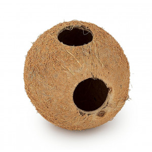 Kula kokosowa z trzema otworami, nieszczotkowana, śr. 11 cm