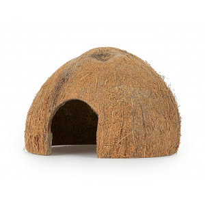 Łupina kokosowa z otworem, nieszczotkowana, śr. 11 cm
