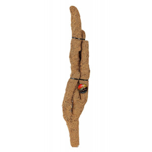 Kokosowa gałąź Happet Troncho M 60 cm