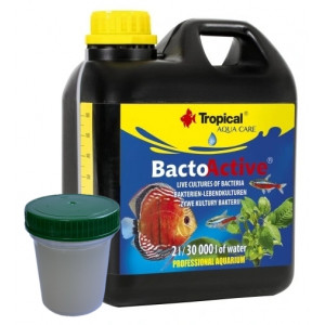 Żywe kultury bakterii Tropical Bacto-Active 100 ml