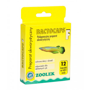 Preparat na infekcje bakteryjne Zoolek Bactocaps F 12 kapsułek
