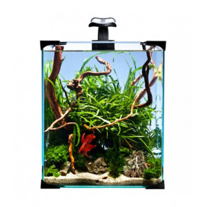 Zestaw Diversa nanoLED 30 (31,5l)