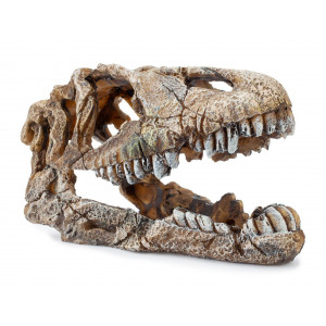 Ozdoba czaszka dinozaura Happet U714
