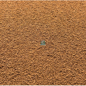 Pokarm Tropical Insect Menu Colour Granules Size S 100g granulat