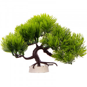 Roślina sztuczna Kruger Meier Plant Pine Bonsai