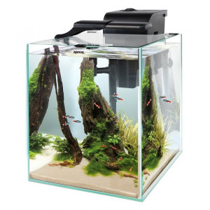 Zestaw Aquael FISH&SHRIMP SET DUO 35 DAY&NIGHT 2.0 (49l) czarny
