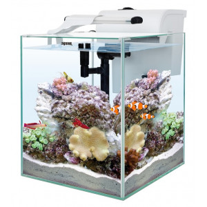 Zestaw Aquael NANOREEF DUO 35 DAY&NIGHT 2.0 (49l) biały