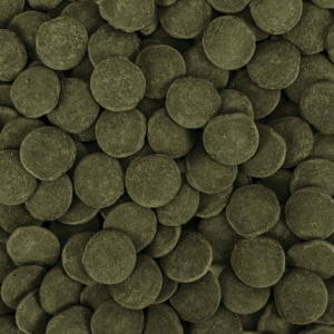 Pokarm Tropical Hi-Algae Discs XXL 100g dyski wafelki