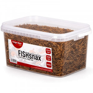 Pokarm dla ryb stawowych Kruger Meier FISHsnax Mealworms 5000 ml suszone larwy mączlika