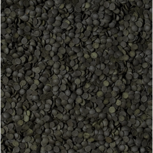 Pokarm Tropical Super Spirulina Forte 100g chipsy