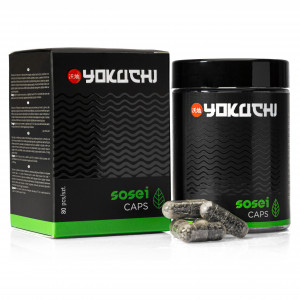 Kapsułki nawozowe Yokuchi Sosei Caps 80 kapsułek