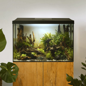 Zestaw Aquael LEDDY XL DAY&NIGHT 60 2.0 (72l) czarny