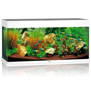 Zestaw Juwel RIO 180 HeliaLux Spectrum LED (180l) bez szafki, biały