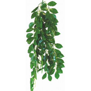 Roślina sztuczna do terrarium, fikus Ficus dł. 50 cm