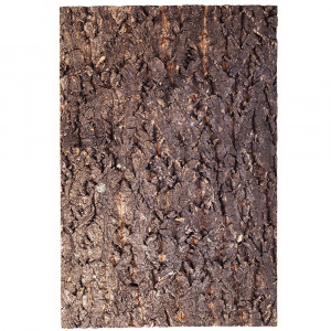 Tło z korka i kory Repti-Zoo Tree Cork Tile Background 30x45 cm