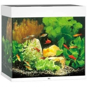 Zestaw Juwel LIDO 120 Helialux Spectrum LED (120l) bez szafki, biały
