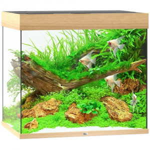 Zestaw Juwel LIDO 200 Helialux Spectrum LED (200l) bez szafki, jasne drewno (dąb)