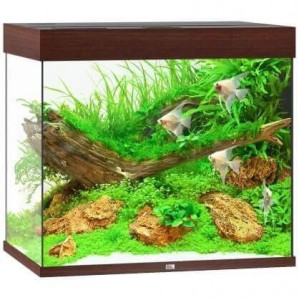 Zestaw Juwel LIDO 200 Helialux Spectrum LED (200l) bez szafki, ciemne drewno