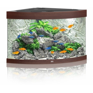 Zestaw Juwel TRIGON 190 Multilux LED (190l) bez szafki, ciemne drewno