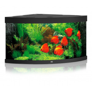 Zestaw Juwel TRIGON 350 Multilux LED (350l) bez szafki, czarny