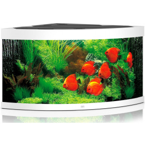 Zestaw Juwel TRIGON 350 Multilux LED (350l) bez szafki, biały