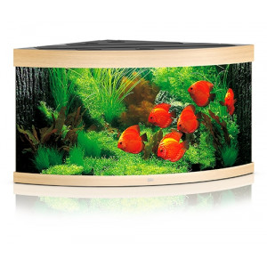 Zestaw Juwel TRIGON 350 Helialux Spectrum LED (350l) bez szafki, jasne drewno (dąb)