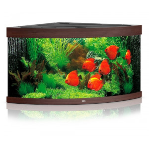 Zestaw Juwel TRIGON 350 Helialux Spectrum LED (350l) bez szafki, ciemne drewno