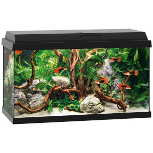 Zestaw Juwel PRIMO 60 Novolux LED (57l), czarny