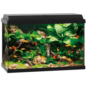 Zestaw Juwel PRIMO 70 Novolux LED (70l), czarny
