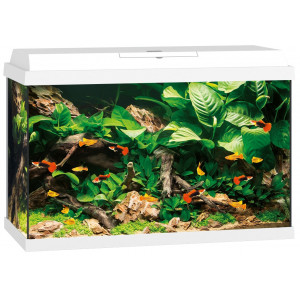 Zestaw Juwel PRIMO 70 Novolux LED (70l), biały