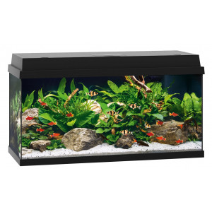 Zestaw Juwel PRIMO 110 Novolux LED (110l), czarny