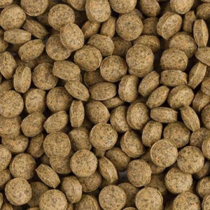Pokarm Tropical Breeder Line Vege Tablet B 100g tabletki