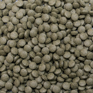 Pokarm Tropical Breeder Line Spiru Tablet B 100g tabletki
