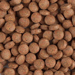 Pokarm Tropical Breeder Line Staple Tablet B 100g tabletki