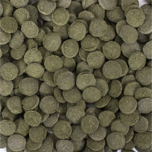 Pokarm Tropical Hi-Algae Discs 100g tabletki