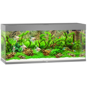 Zestaw Juwel RIO 240 HeliaLux Spectrum LED (240l) bez szafki, szary